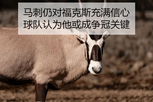 马刺仍对福克斯充满信心 球队认为他或成争冠关键